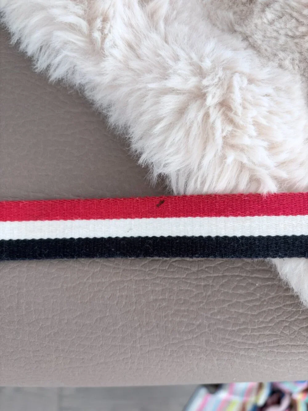 Moncler x Poldo Dog Couture Tricolor Leash
